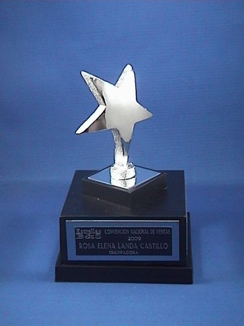 Reconocimiento Trofeo Personalizado Con Placa Estrella 1 Pz